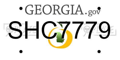 SHC7779 Georgia License Plate