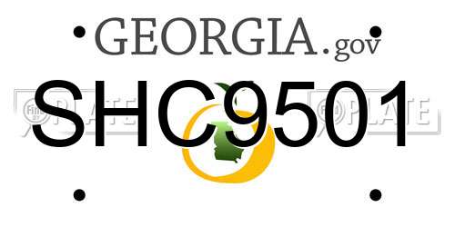 SHC9501 Georgia License Plate