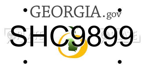 SHC9899 Georgia License Plate