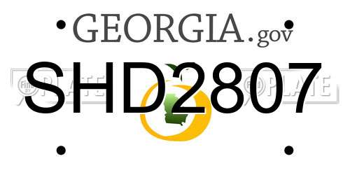 SHD2807 Georgia License Plate