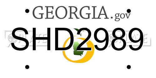 SHD2989 Georgia License Plate