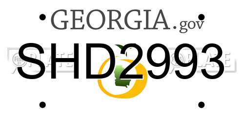 SHD2993 Georgia License Plate