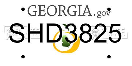 SHD3825 Georgia License Plate