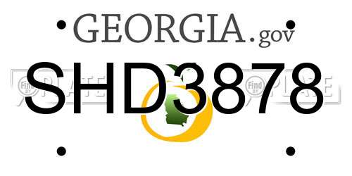 SHD3878 Georgia License Plate