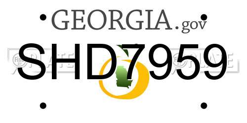 SHD7959 Georgia License Plate