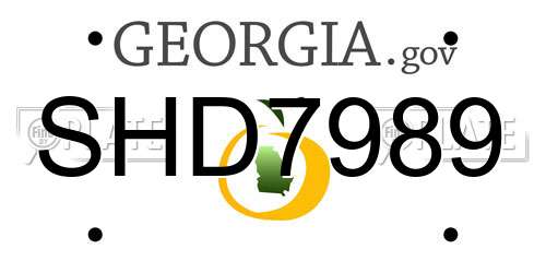 SHD7989 Georgia License Plate
