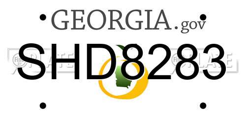 SHD8283 Georgia License Plate