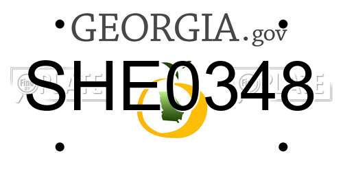 SHE0348 Georgia License Plate