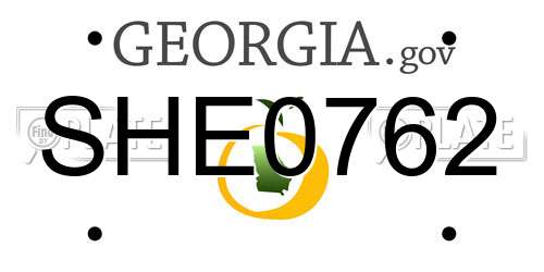 SHE0762 Georgia License Plate