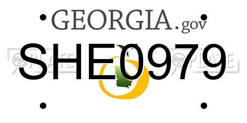 SHE0979 Georgia License Plate