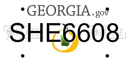 SHE6608 Georgia License Plate