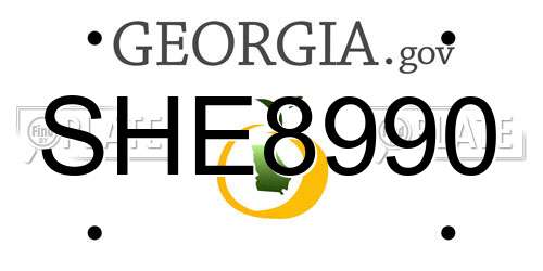SHE8990 Georgia License Plate
