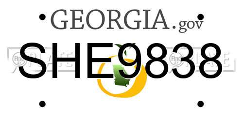 SHE9838 Georgia License Plate