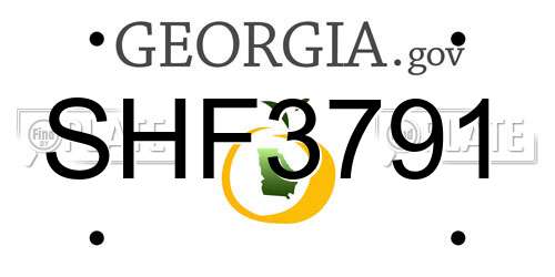 SHF3791 Georgia License Plate