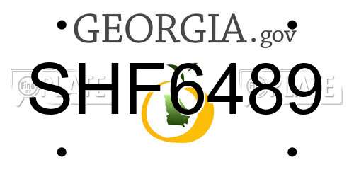 SHF6489 Georgia License Plate