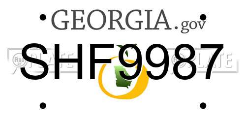 SHF9987 Georgia License Plate