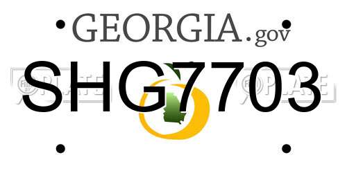 SHG7703 Georgia License Plate