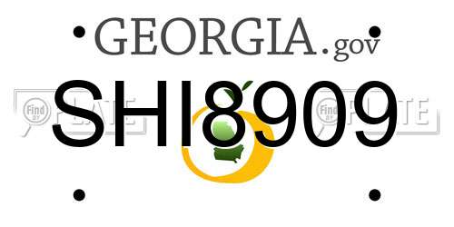 SHI8909 Georgia License Plate