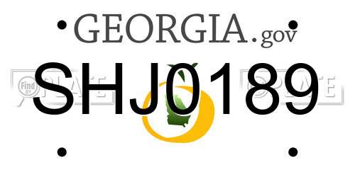 SHJ0189 Georgia License Plate