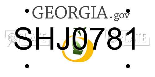 SHJ0781 Georgia License Plate