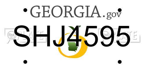 SHJ4595 Georgia License Plate