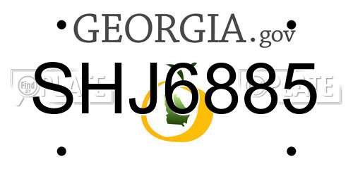 SHJ6885 Georgia License Plate