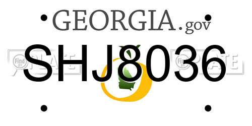 SHJ8036 Georgia License Plate