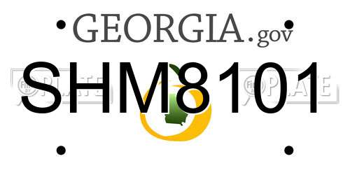SHM8101 Georgia License Plate