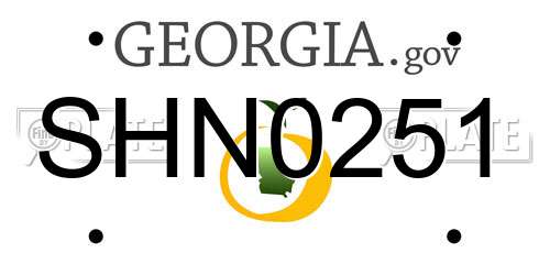 SHN0251 Georgia License Plate