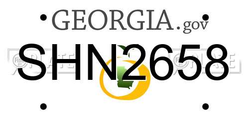 SHN2658 Georgia License Plate