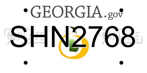 SHN2768 Georgia License Plate