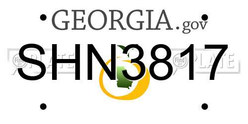 SHN3817 Georgia License Plate