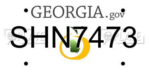SHN7473 Georgia License Plate