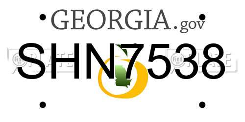 SHN7538 Georgia License Plate
