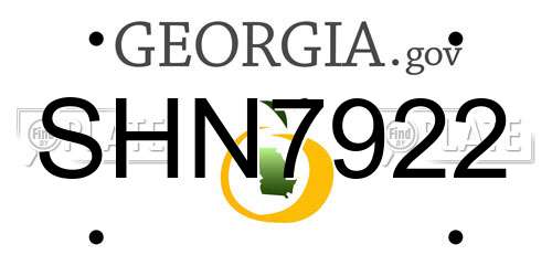 SHN7922 Georgia License Plate