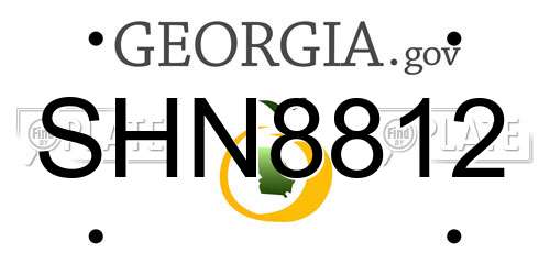 SHN8812 Georgia License Plate