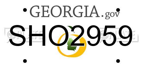 SHO2959 Georgia License Plate