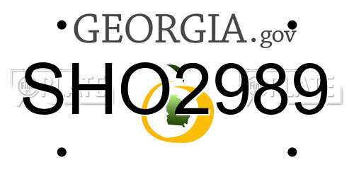 SHO2989 Georgia License Plate