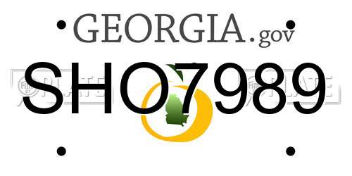 SHO7989 Georgia License Plate