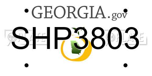 SHP3803 Georgia License Plate