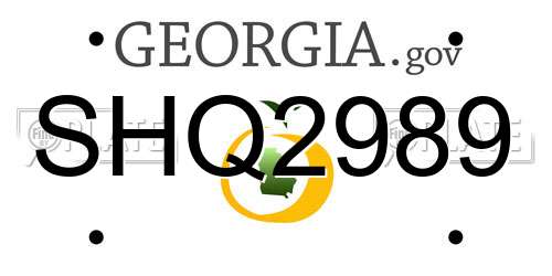 SHQ2989 Georgia License Plate
