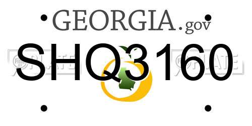 SHQ3160 Georgia License Plate
