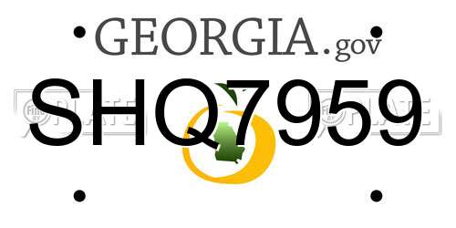 SHQ7959 Georgia License Plate