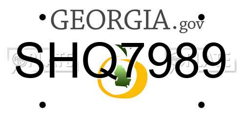 SHQ7989 Georgia License Plate