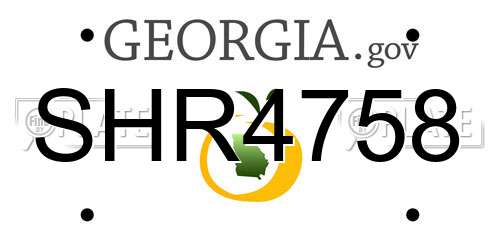 SHR4758 Georgia License Plate