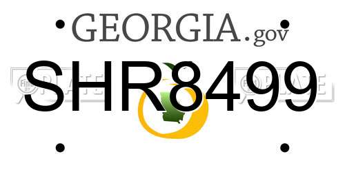 SHR8499 Georgia License Plate