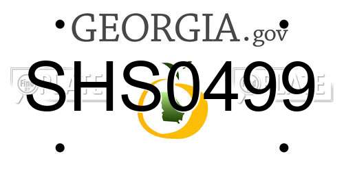SHS0499 Georgia License Plate