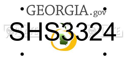 SHS3324 Georgia License Plate
