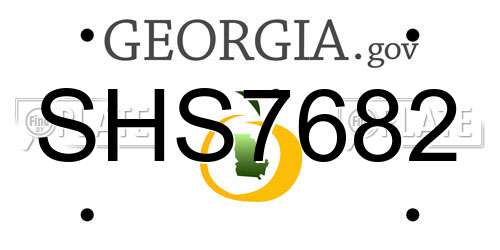 SHS7682 Georgia License Plate