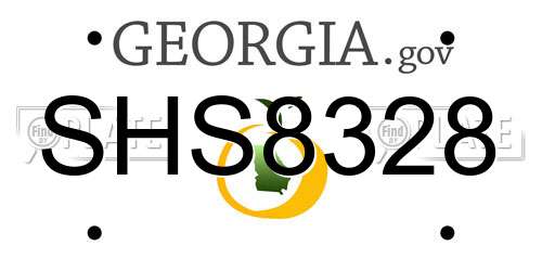 SHS8328 Georgia License Plate
